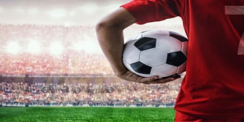 Tỷ lệ cá cược bóng đá Euro Tỷ lệ cá cược bóng đá Euro các loại hay gặp